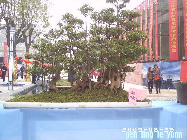 PHOT0028.JPG
