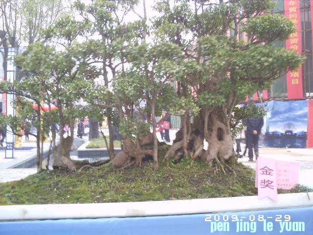 PHOT0029.JPG