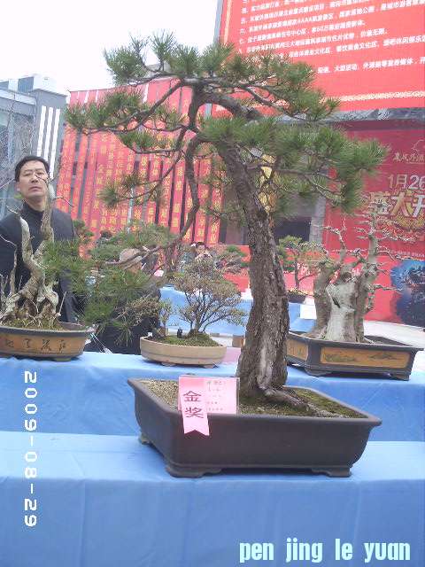 PHOT0018.JPG