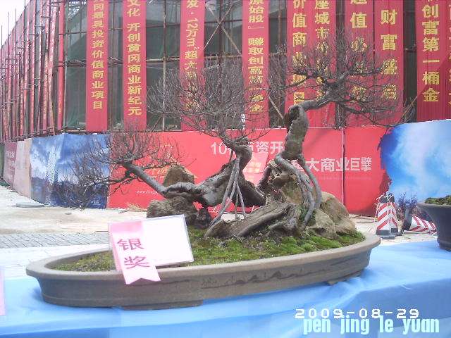 PHOT0026.JPG
