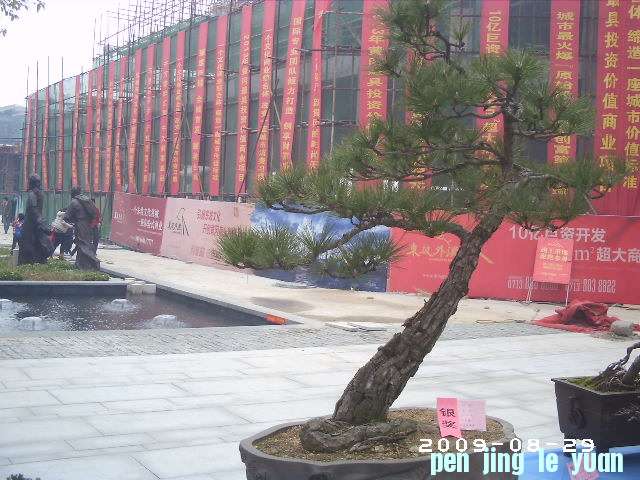 PHOT0033.JPG