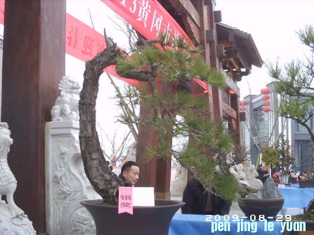 PHOT0079.JPG