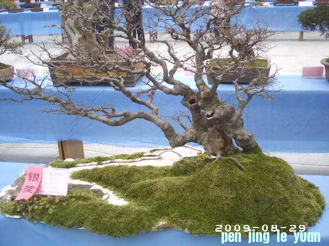 PHOT0084.JPG