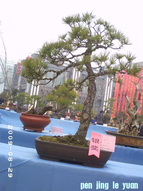 PHOT0017.JPG