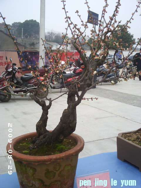 PHOT0024.JPG