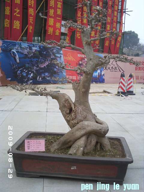 PHOT0074.JPG