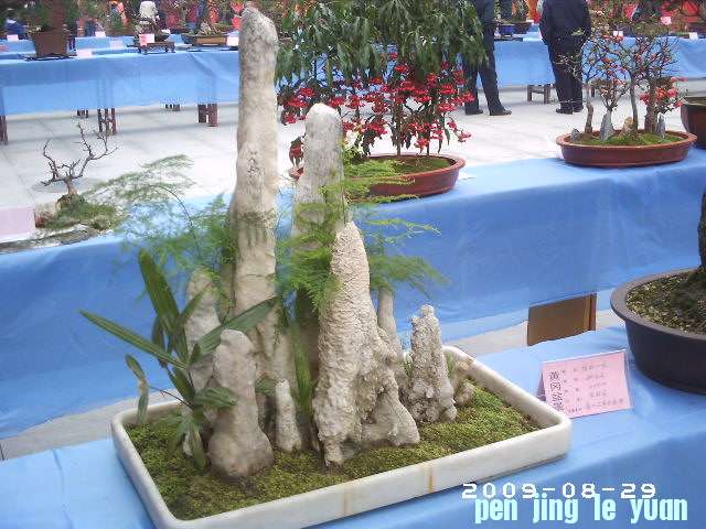 PHOT0077.JPG