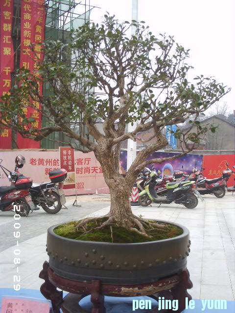 PHOT0080.JPG