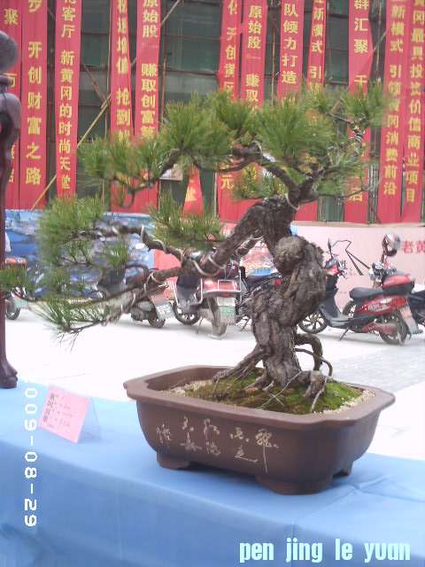 PHOT0081.JPG