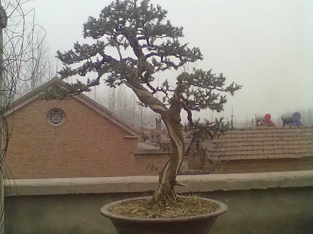 UC_Photo_3.jpg