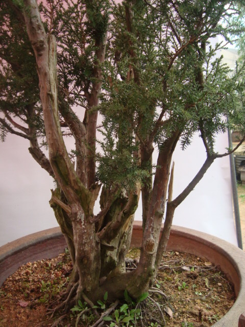 DSC06564.jpg