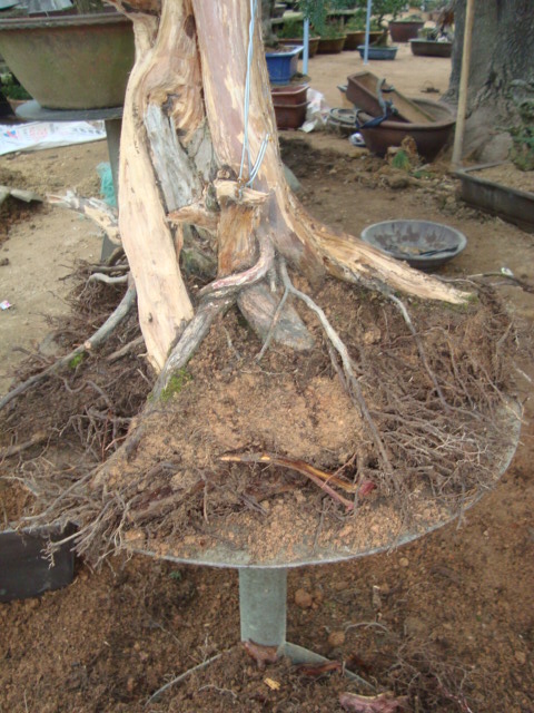 DSC06469.jpg