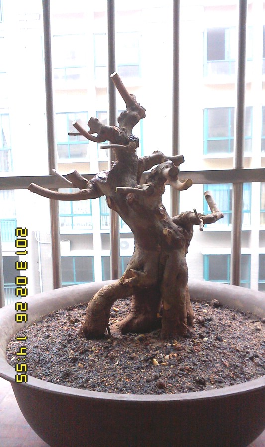 IMG0226145500.jpg