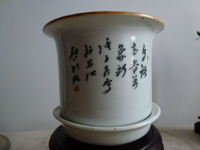 P1040503.JPG