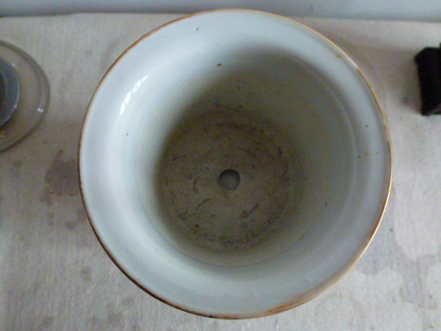 P1040504.JPG