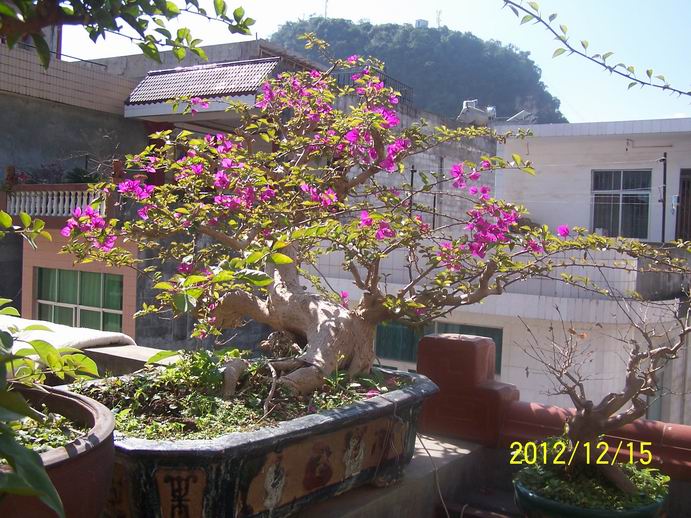 С Ƭ 040.jpg