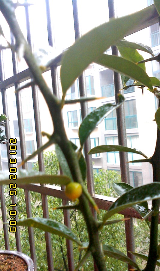IMG0226100900.jpg