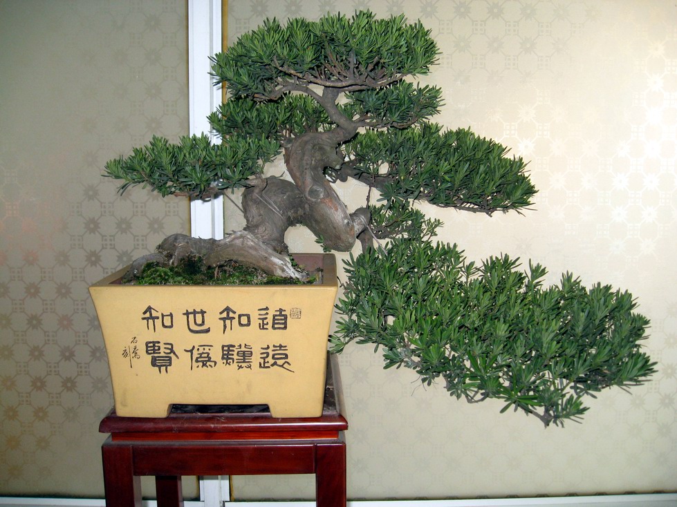 Ƭ 15543.jpg