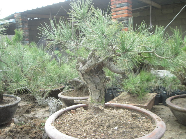 201302228 004.jpg