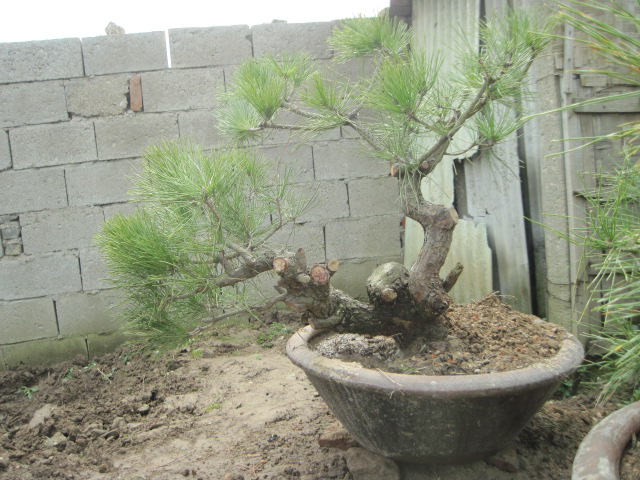 201302228 006.jpg
