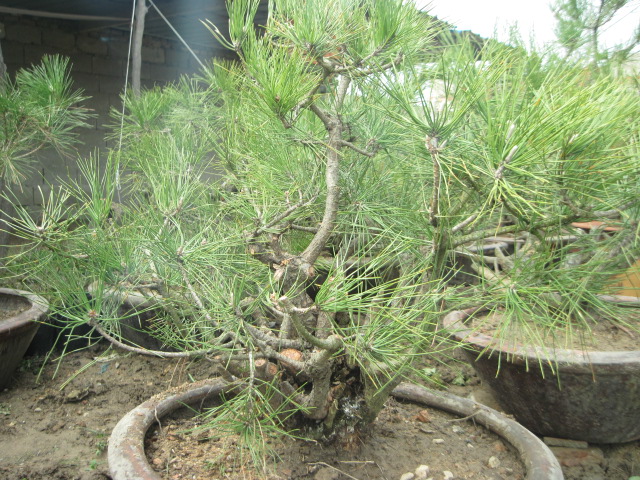 201302228 007.jpg