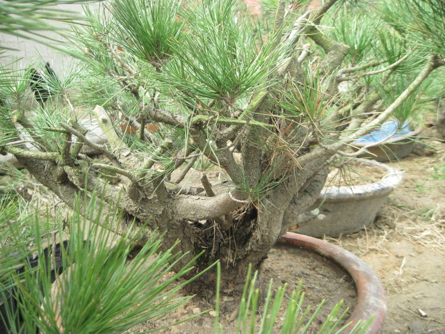 201302228 010.jpg