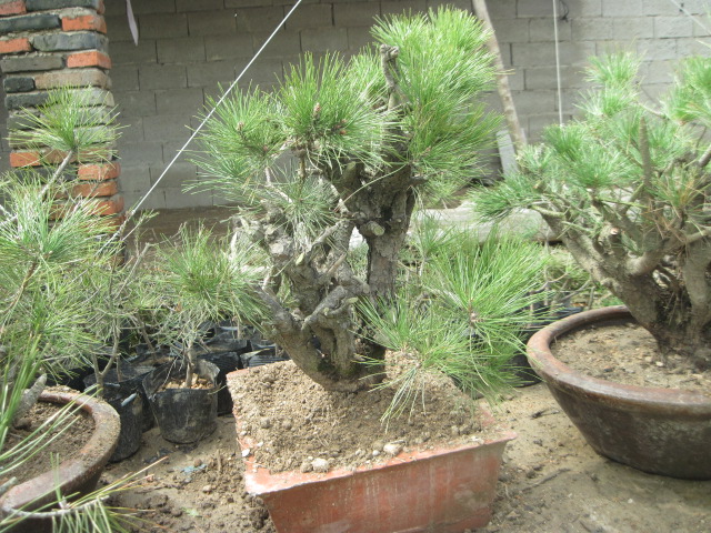 201302228 011.jpg