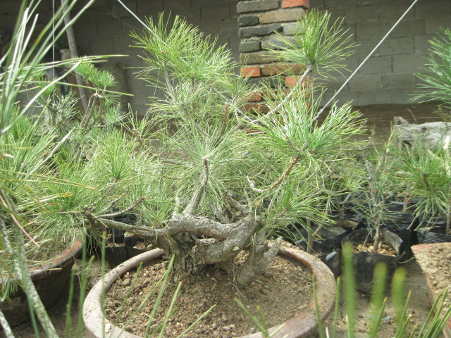 201302228 012.jpg