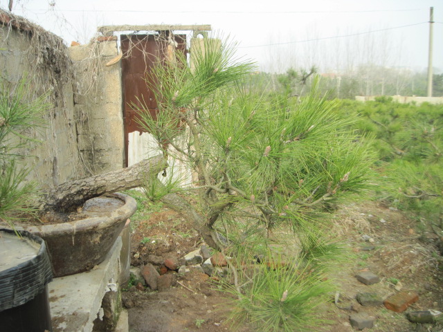 201302228 013.jpg