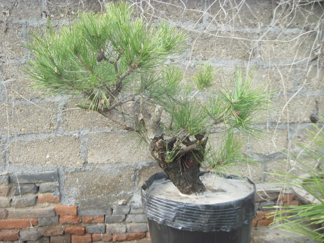 201302228 014.jpg
