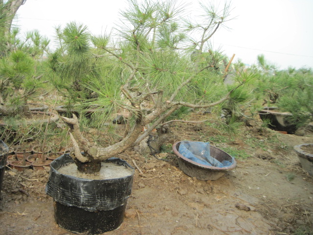 201302228 016.jpg