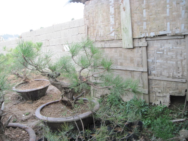 201302228 018.jpg