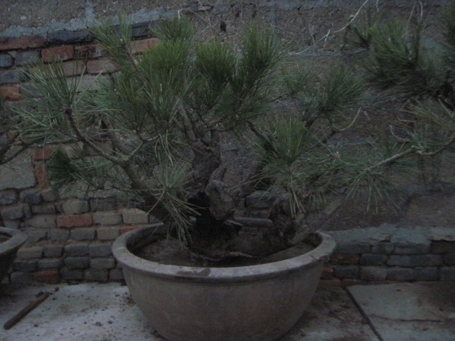 201302228 020.jpg