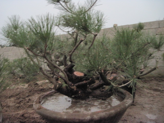 201302228 021.jpg