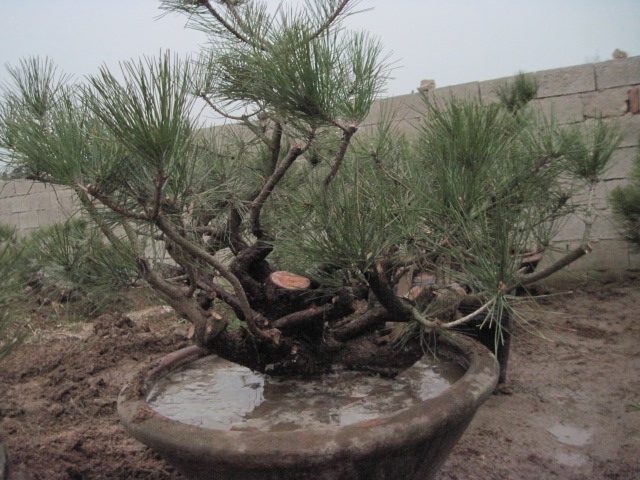 201302228 022.jpg