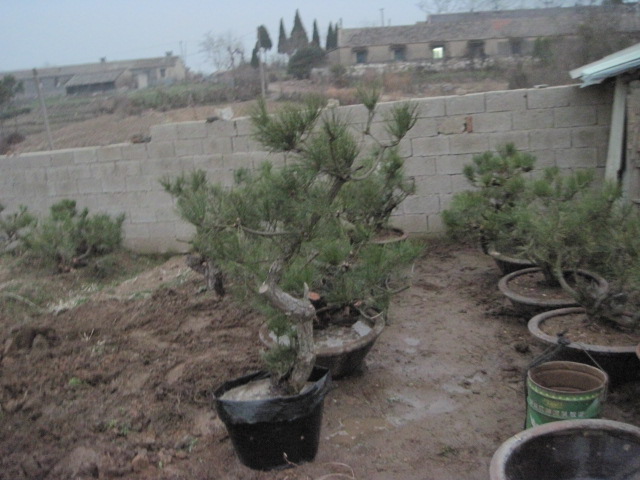 201302228 023.jpg