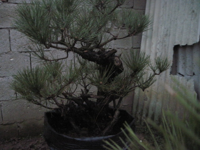 201302228 024.jpg
