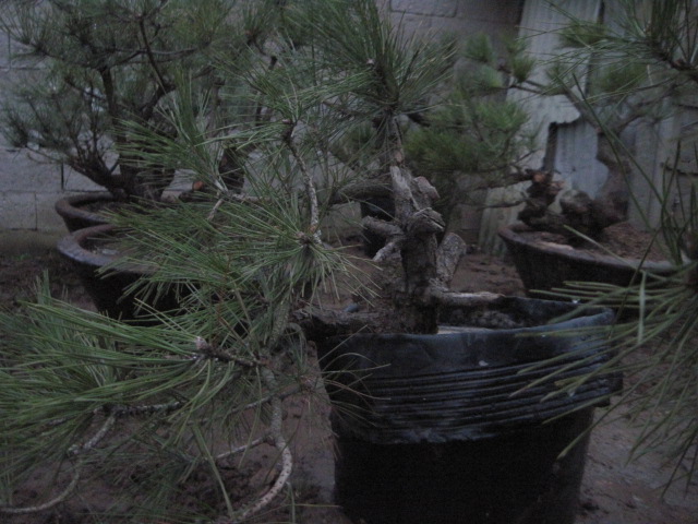 201302228 026.jpg