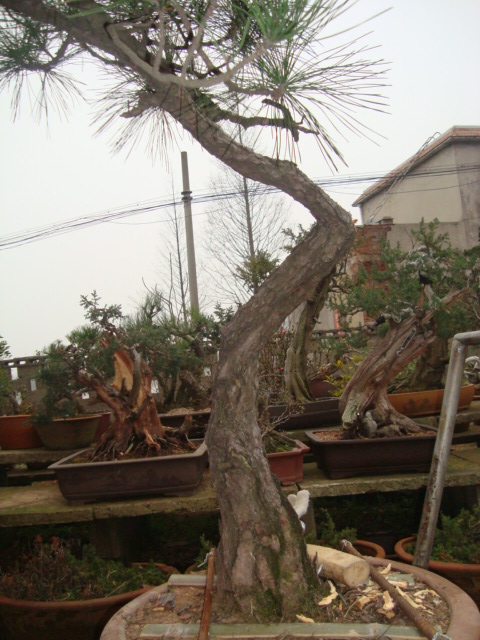 DSC06588.jpg