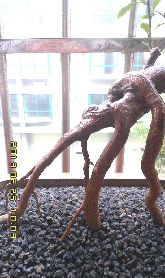 IMG0226100300.jpg