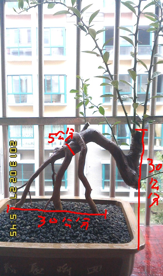 IMG0227154500.jpg