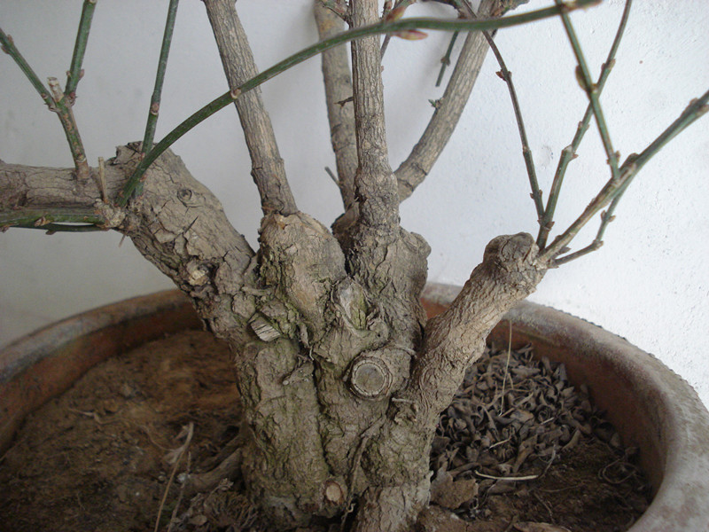 DSC04543_.jpg