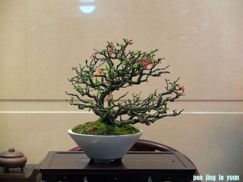 DSCF1117.jpg
