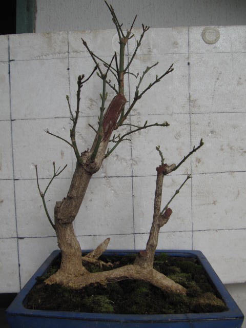 СҶì (1).JPG