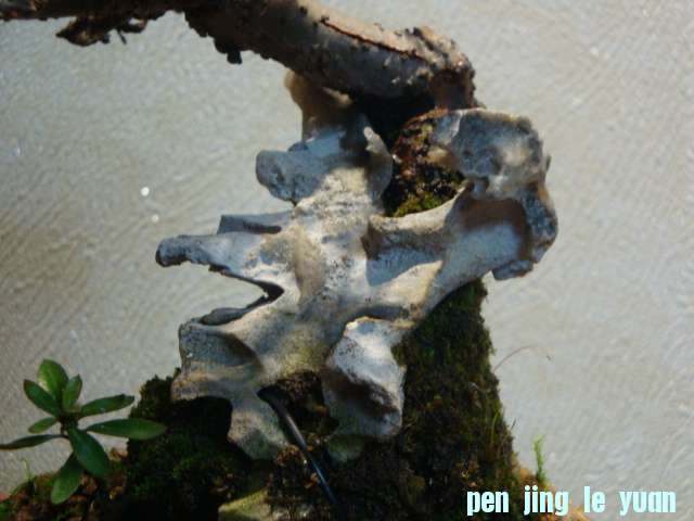 DSC02302.JPG