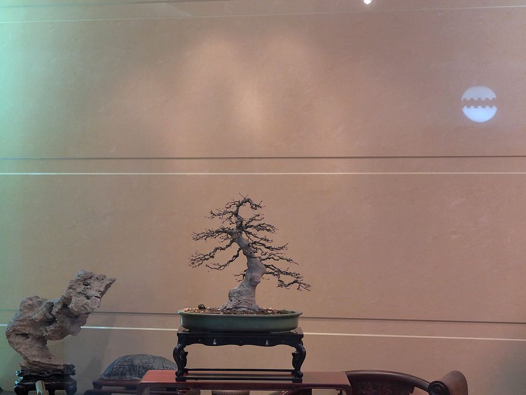 DSCF1237.jpg