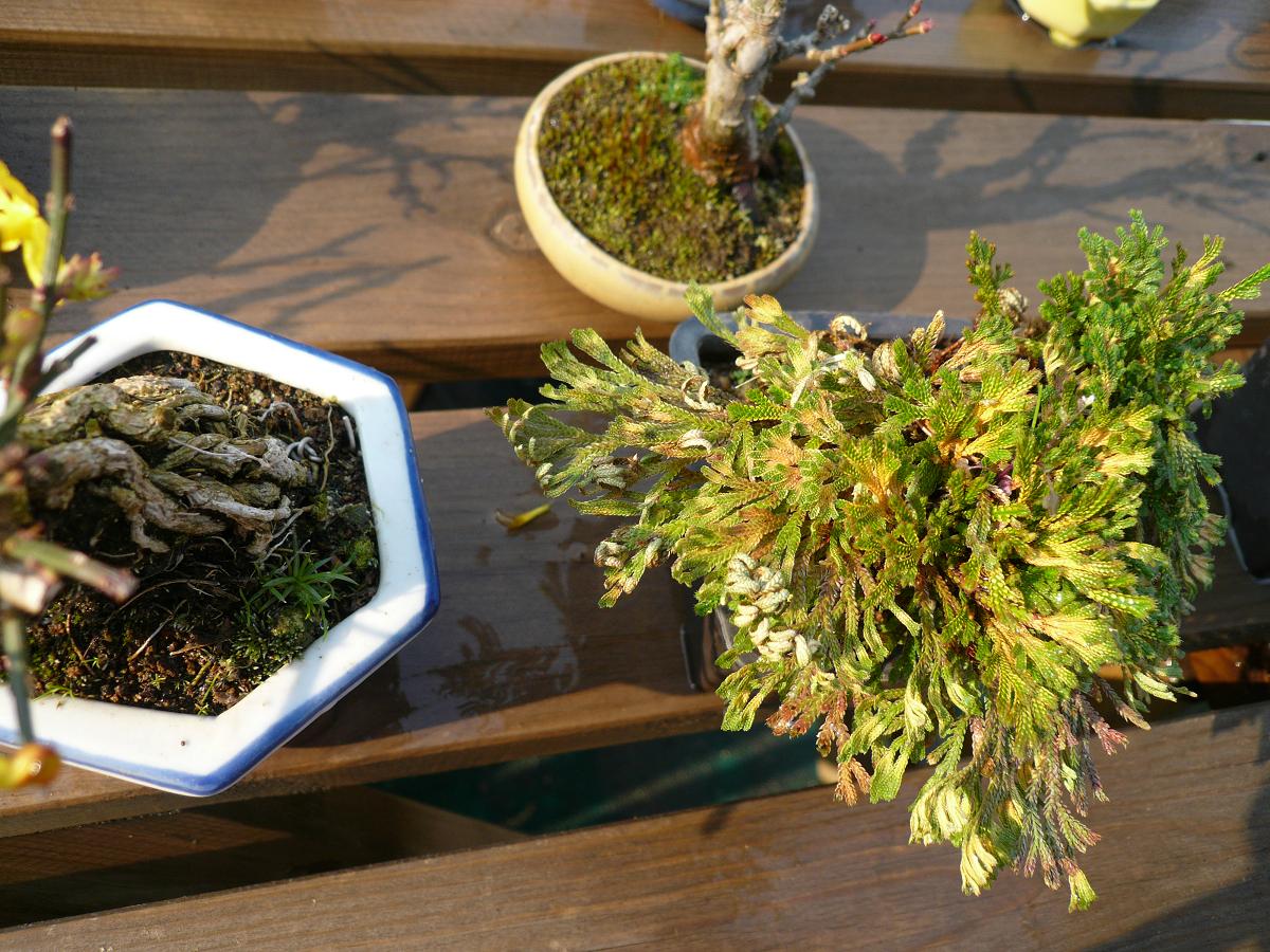 P1110512.JPG