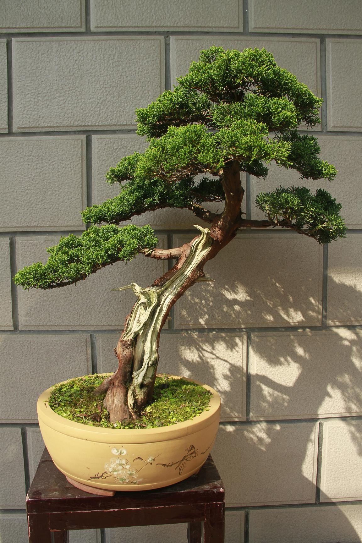 20110729 001.jpg