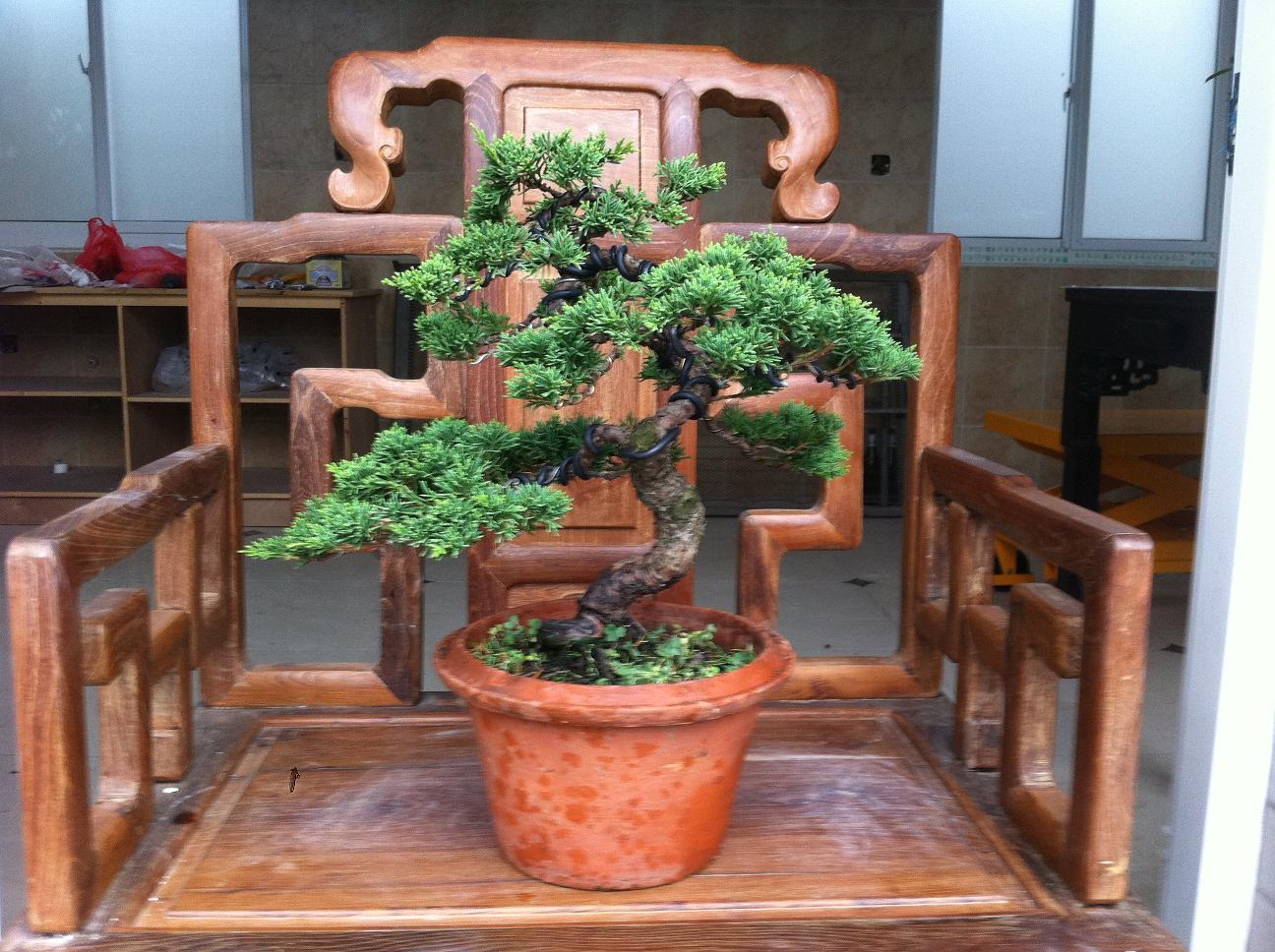 20120714 001.jpg