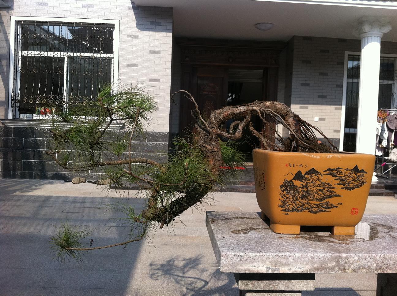 20130119ˮɽ.jpg